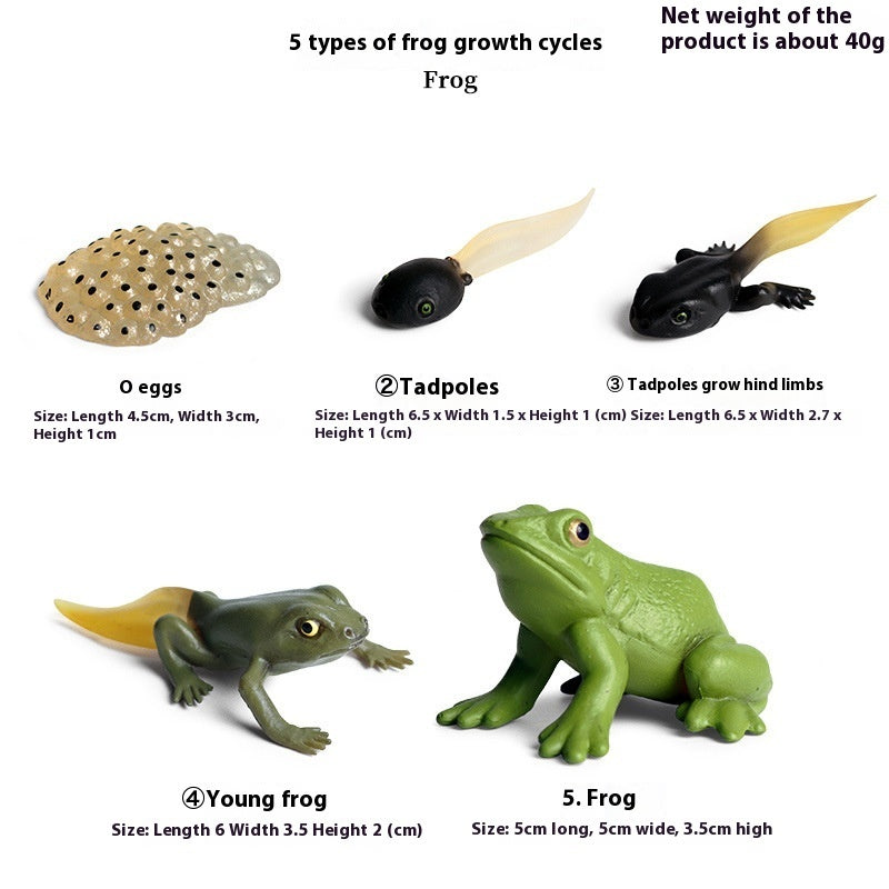 Solid Simulation Animal Model Plastic Toy Decoration