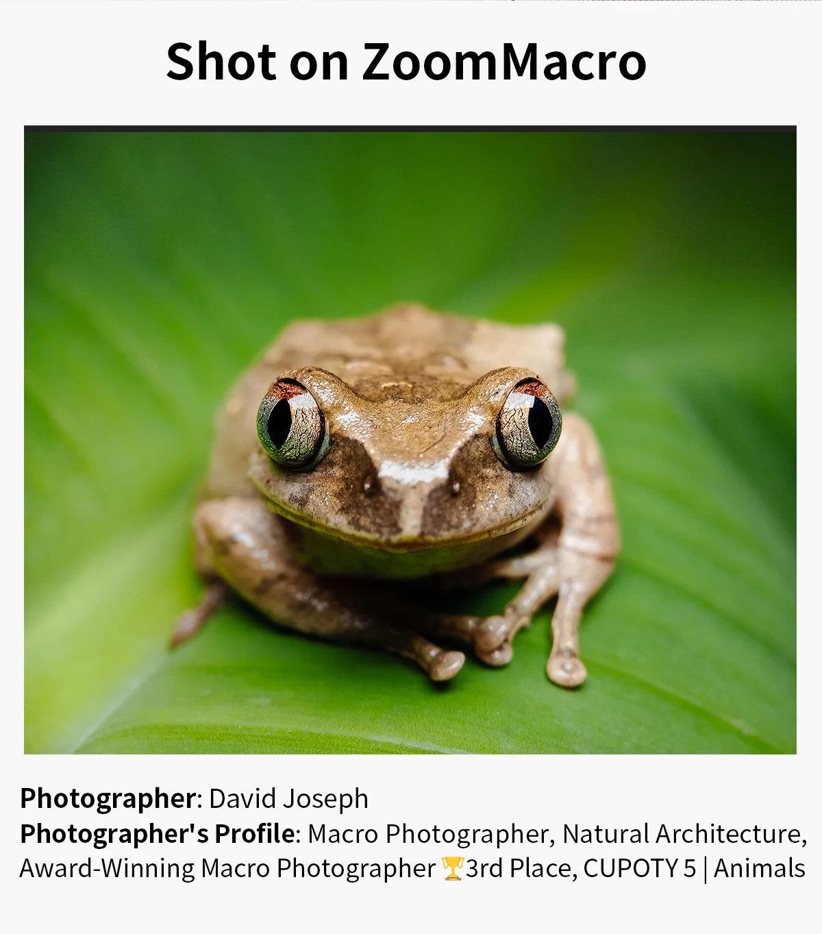 APEXEL 10-20X Zoom Macro Lens  HD Micro Phone Camera Lenses Support Eye Macro Photography for iPhone Samsung all Smartphones