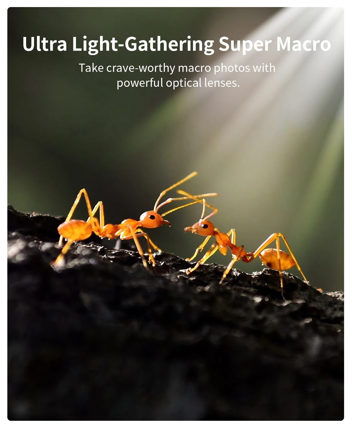 APEXEL 10-20X Zoom Macro Lens  HD Micro Phone Camera Lenses Support Eye Macro Photography for iPhone Samsung all Smartphones