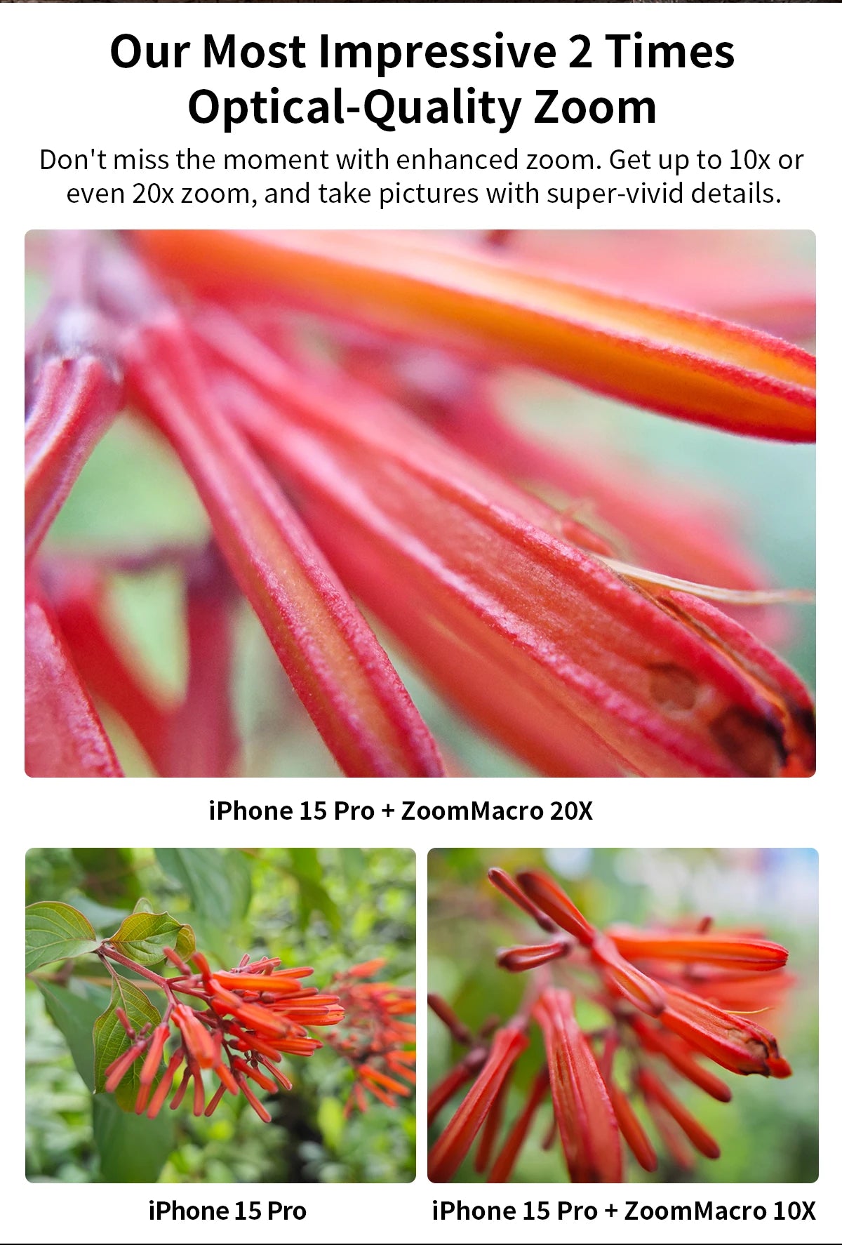 APEXEL 10-20X Zoom Macro Lens  HD Micro Phone Camera Lenses Support Eye Macro Photography for iPhone Samsung all Smartphones